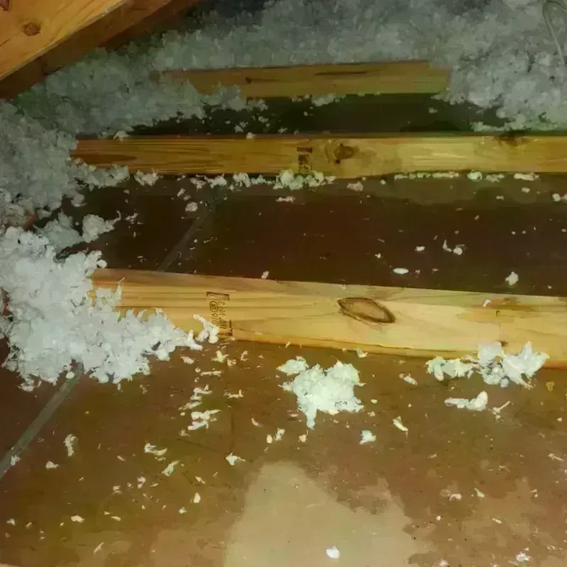 Attic Water Damage in Gales Ferry, CT